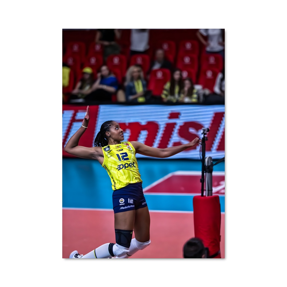 Poster Ana de cristina souza